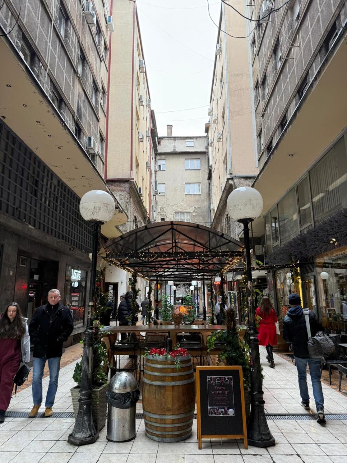 Knez Mihailova Apartment, City Center Βελιγράδι Εξωτερικό φωτογραφία